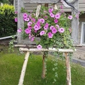 Meet your Posher, Tracy